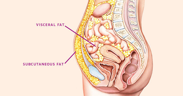 What's Going On with Stubborn Fat? Part 2
