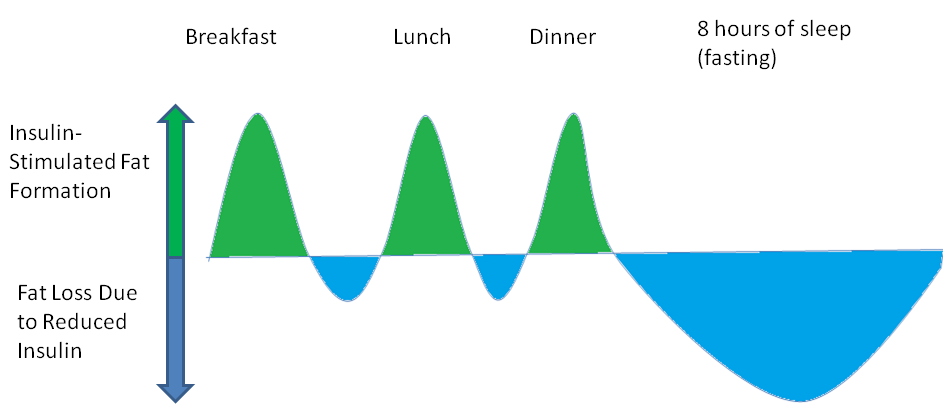 Is low-carb necessary for fat loss? Part 2